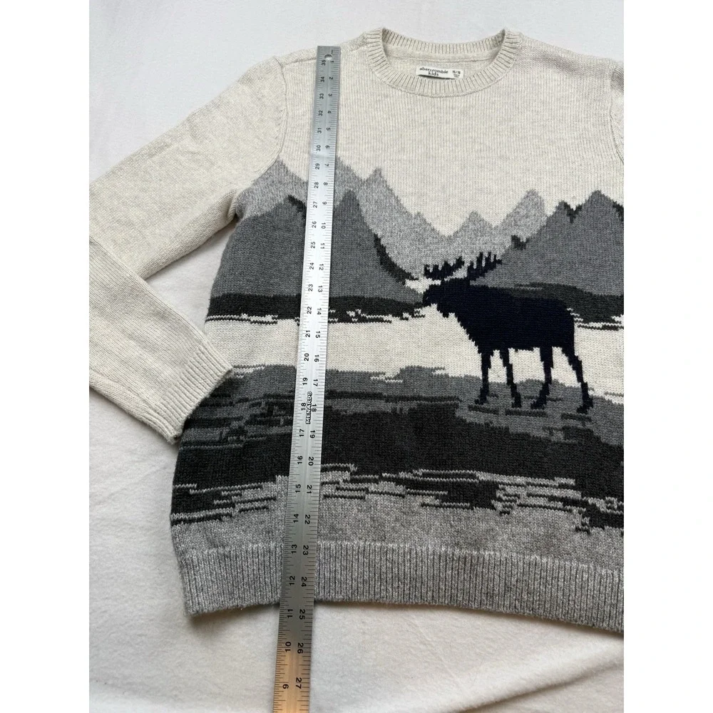Abercrombie Kids Moose Mountain Landscape Graphic Knit Sweater Size 15/16